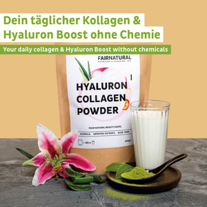 
                  
                    Download the image in the gallery viewer, Collagen Hyaluron Powder 3 Pack (1350g)
                  
                