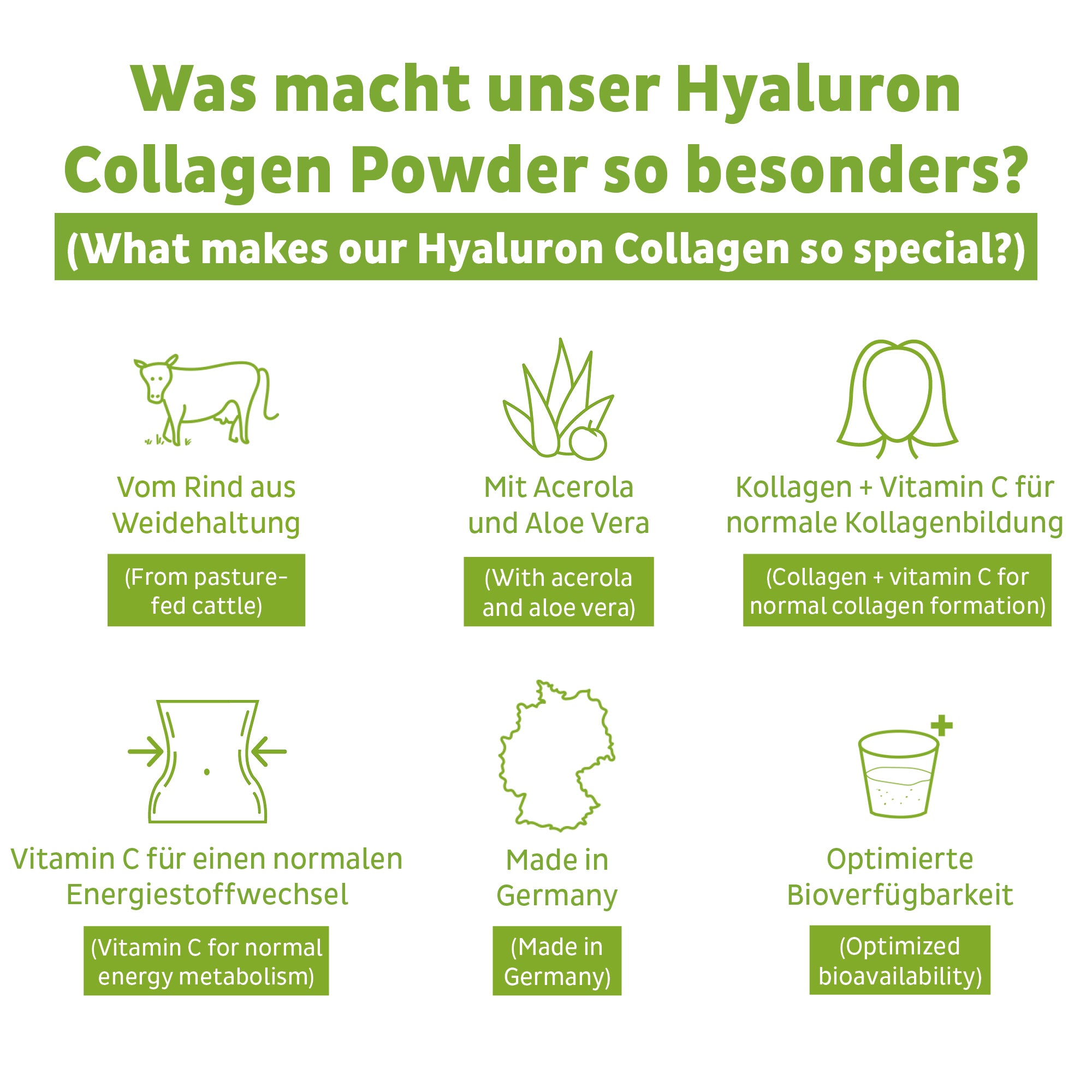 Collagen Hyaluron Powder 3 Pack (1350g)