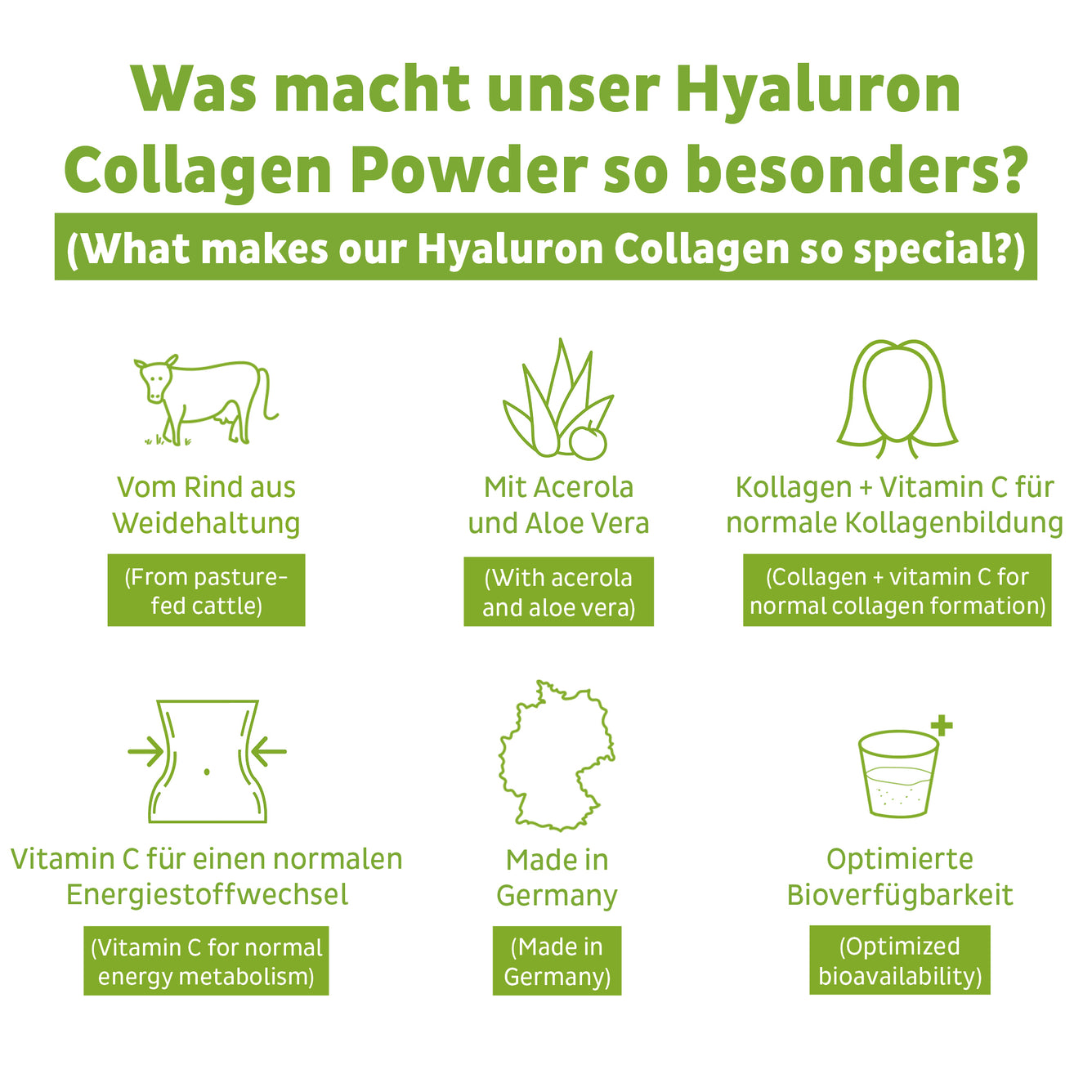 Collagen Hyaluron Powder