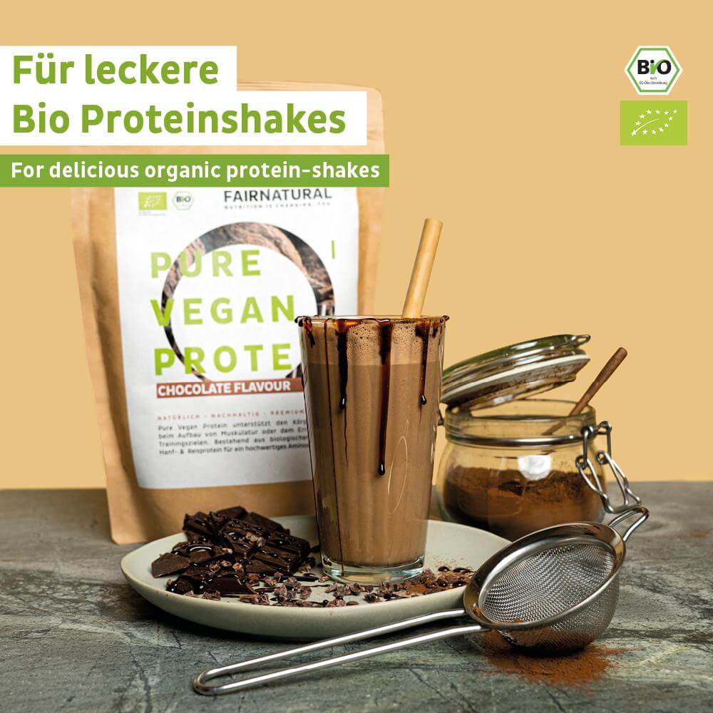 Organic Vegan Protein Powder Chocolate without Soy